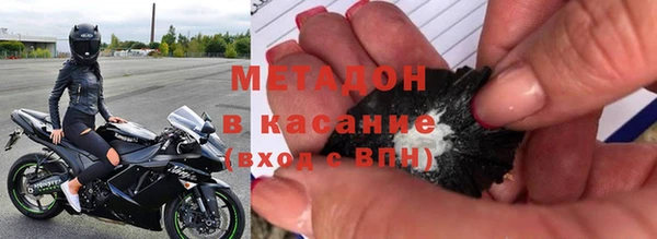индика Алзамай