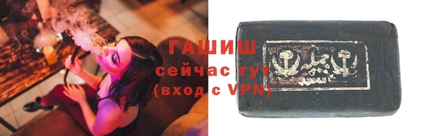 индика Алзамай