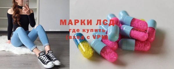 индика Алзамай