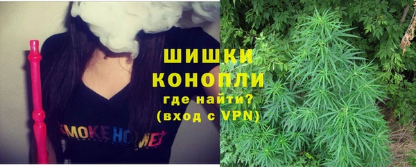индика Алзамай
