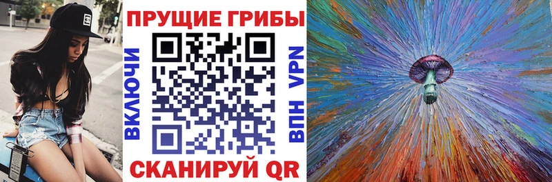 Псилоцибиновые грибы мухоморы  где купить   kraken онион  Находка 